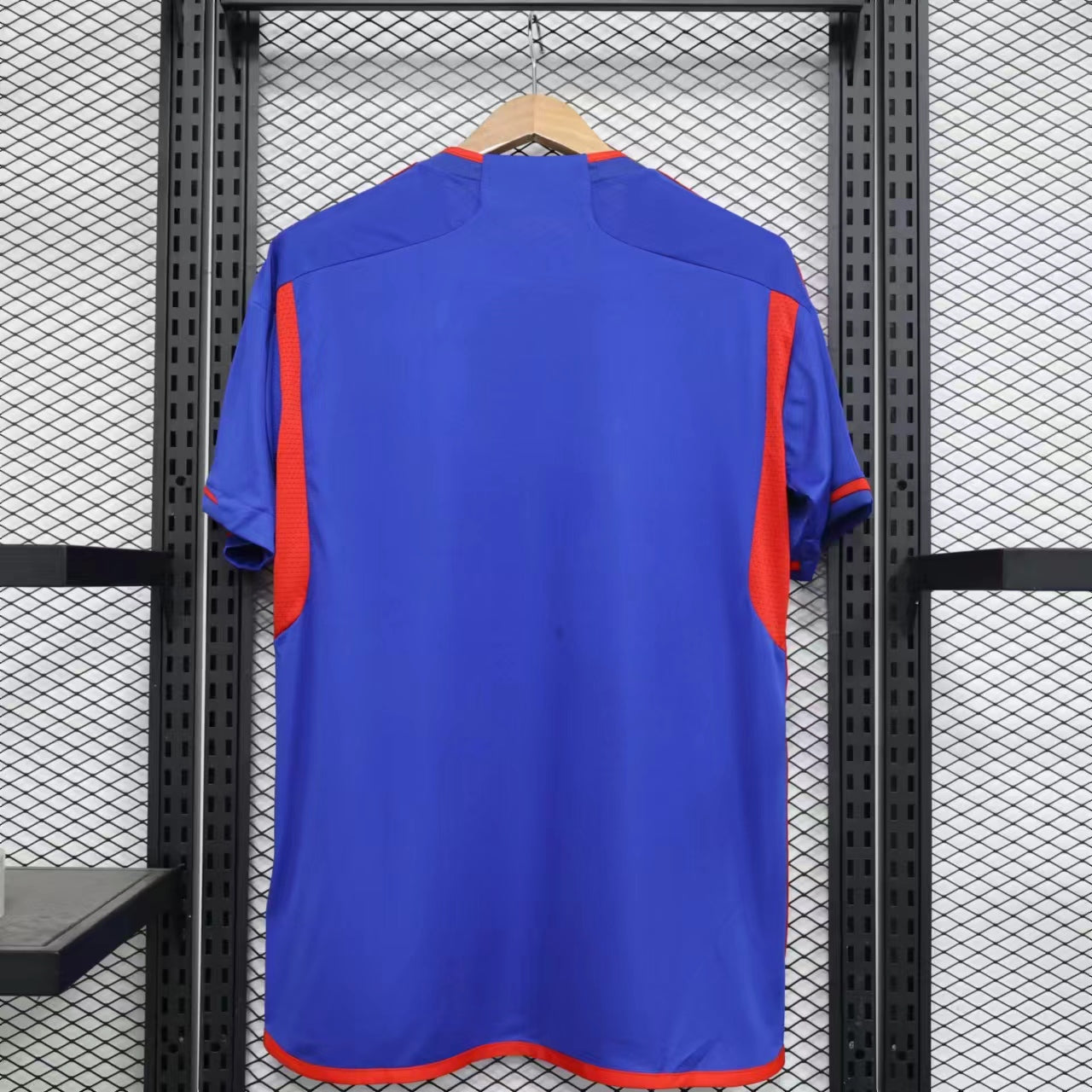 Camiseta Lyon Tercera 23-24