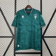 Camiseta Santiago Wanderers Local 24-25