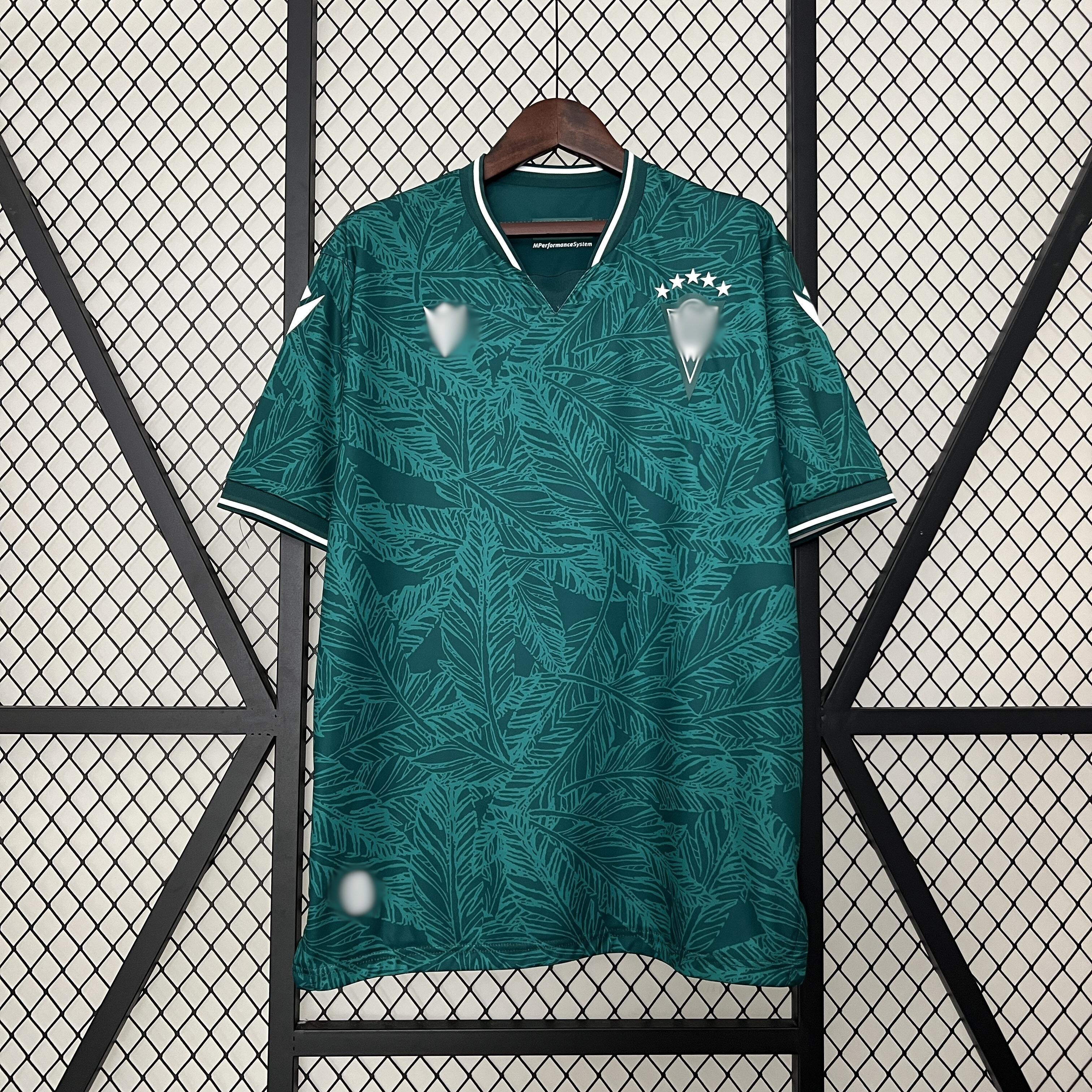 Camiseta Santiago Wanderers Local 24-25